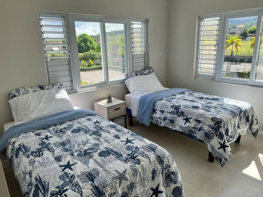 Apartmán New Luxurious Retreat Near Ocho Rios Richmond Exteriér fotografie