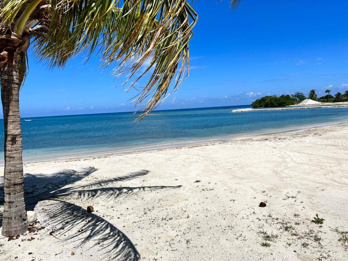 Apartmán Ocho Rios Ocean Escape Richmond Exteriér fotografie